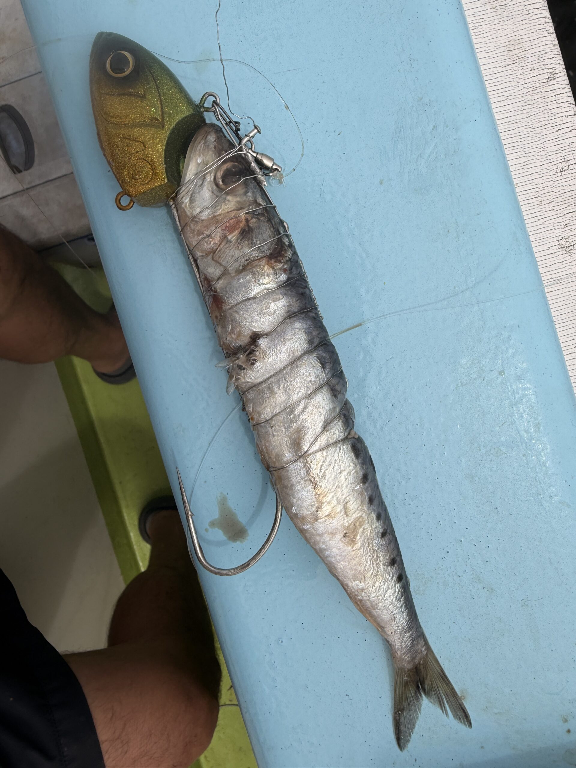 テンヤと餌