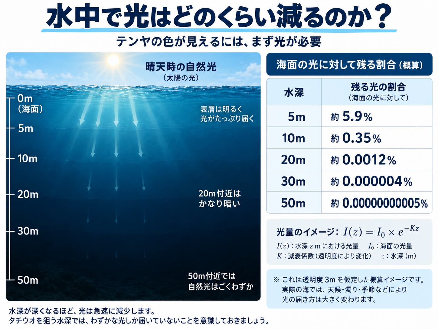 水深による光の減衰を示した図